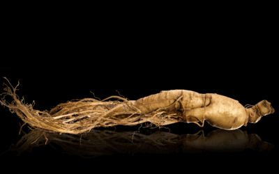 Vital und energiegeladen im Alter mit weißer Ginseng-Tinktur