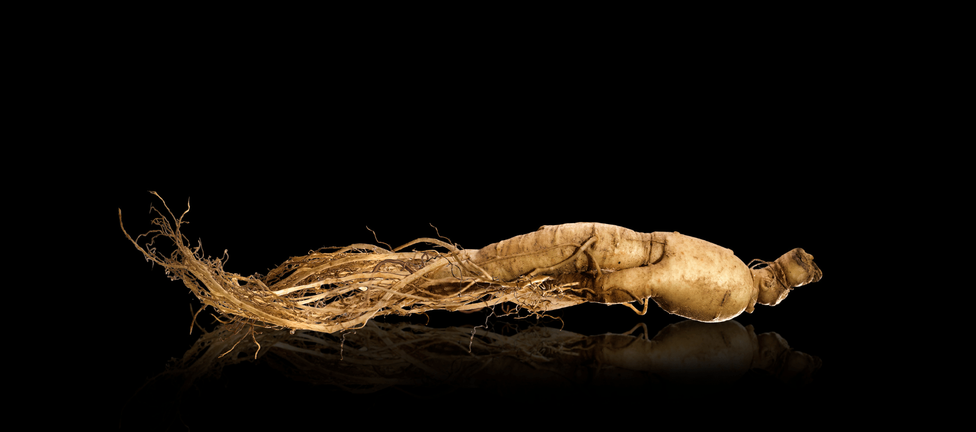 Vital und energiegeladen im Alter – mit weißer Ginseng-Tinktur